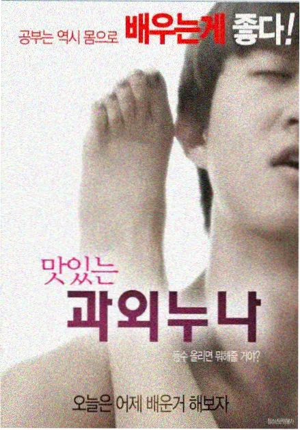 结晶塔的帝王 宝可梦剧场版作品图